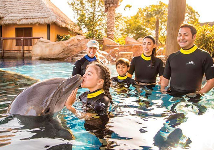 Discovery Cove: preço do dia com nado com golfinhos, por data