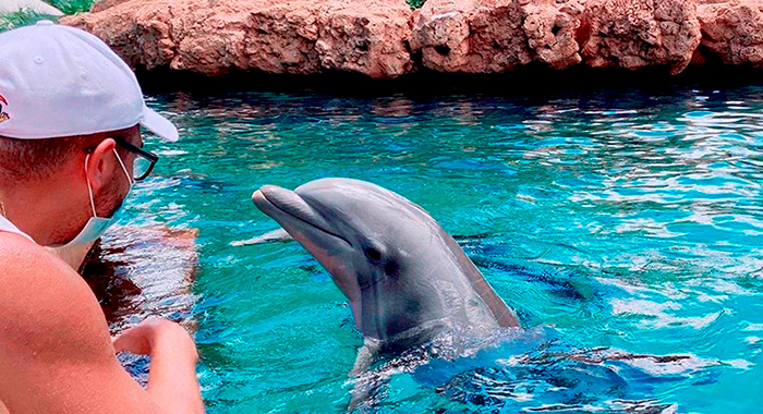 Ingresso do SeaWorld Orlando: o que inclui e o preço por data