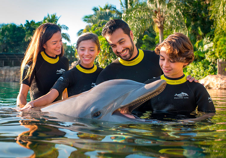 Discovery Cove: preço do dia com nado com golfinhos, por data