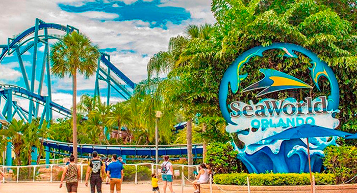 Ingresso do SeaWorld Orlando: o que inclui e o preço por data